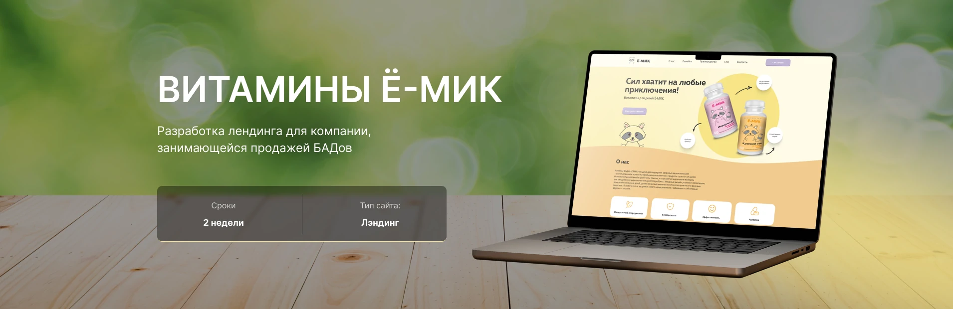 Портфолио разработанного сайта