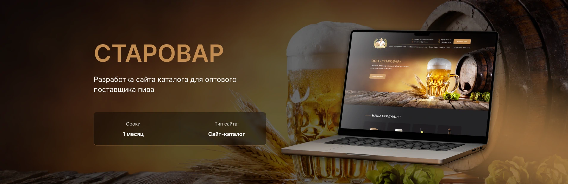 Портфолио разработанного сайта